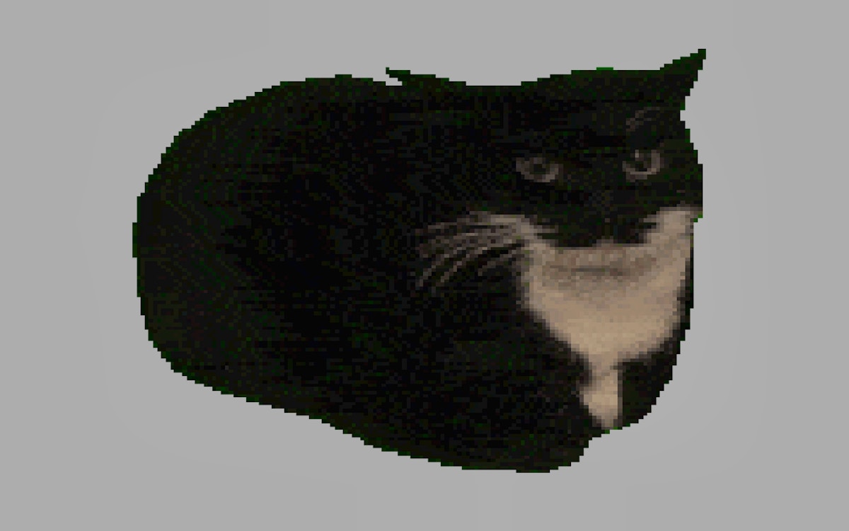 Spinning Cat Clicker - Cat Games game screenshot